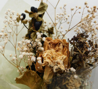 日進塾のニュースレター2025